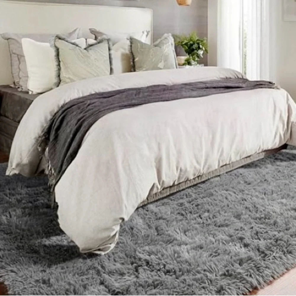 Rug - Gray Accent Area Carpet - Size 4x6 - Picture 3 of 10